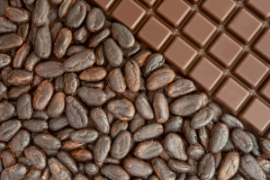 cocoa-beans-and-chocolate-bar
